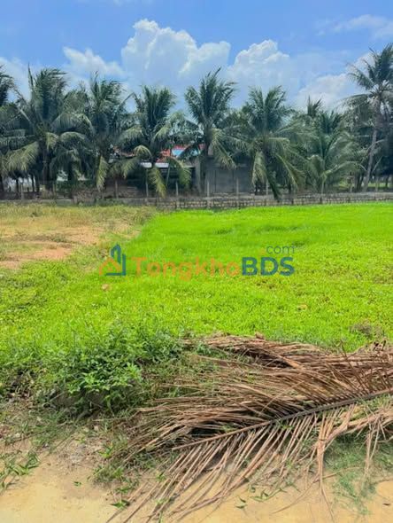 Đất nền Ninh Đa 138m² 700-799 triệu - Đất thổ cư