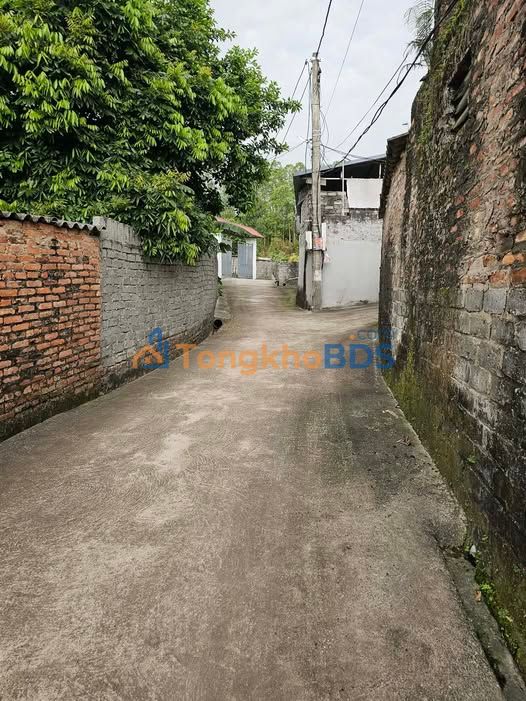 Đất nền Yên Lư Bắc Giang 210m² dưới 2 tỷ - Đường to ô tô