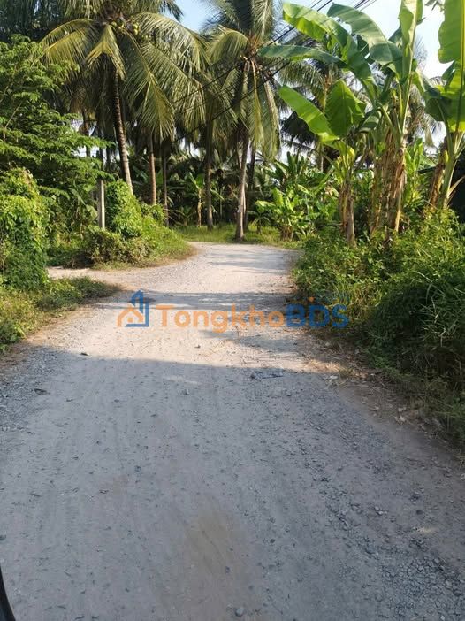 Đất nền Phú Nhơn Châu Thành 4.200m² 7.98 tỷ - Đầu tư dài hạn