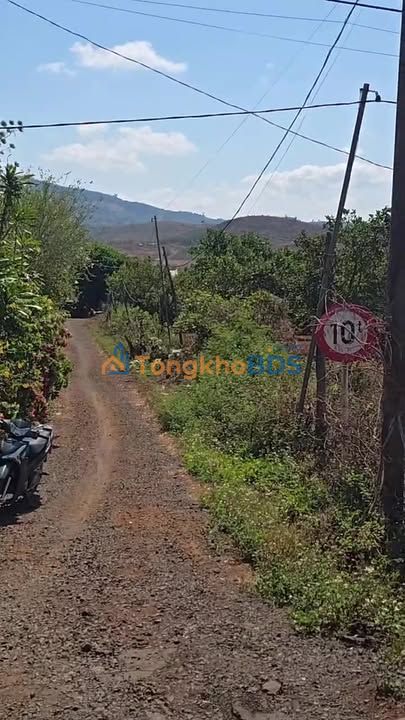 Đất nền Gia Lai QL14A 300m² 55.5 tỷ - Sổ đỏ chính chủ