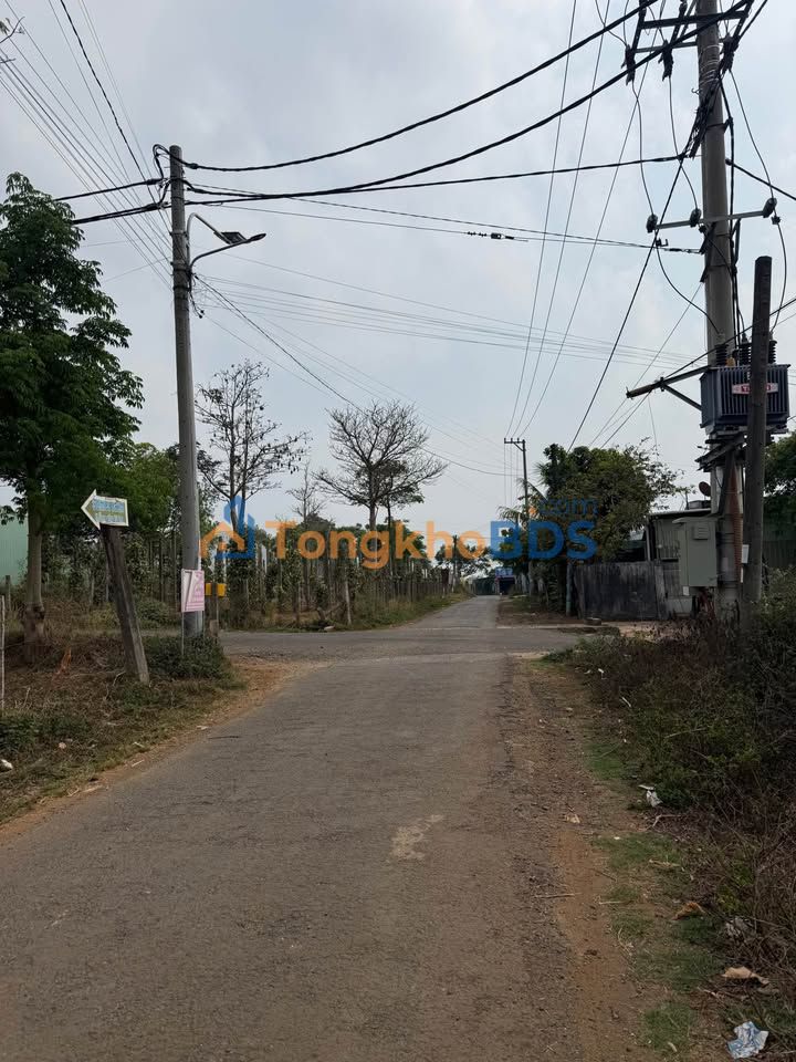 Đất nền Quy Nhơn Nguyễn Siêu 135m² 9xxtr - Tiềm năng tăng giá