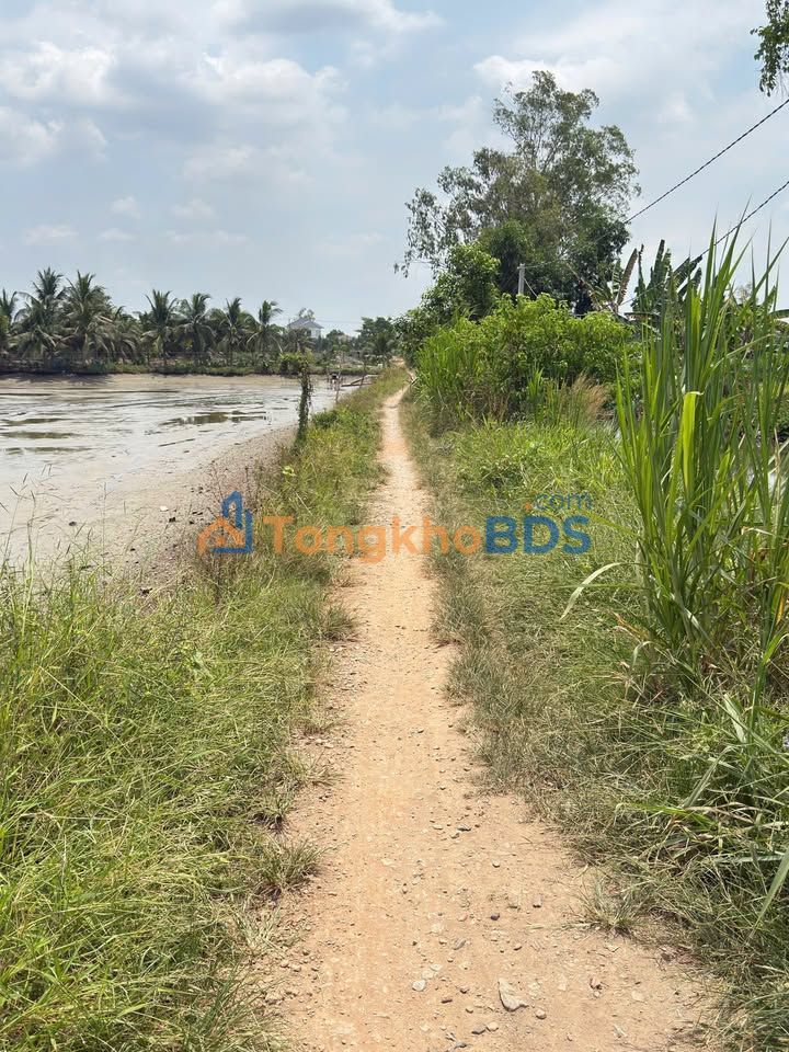 Đất vườn Nhơn Mỹ 2000m² 600-699 triệu - Đầu tư dài hạn