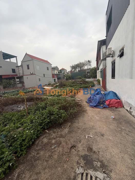 Đất Tam Thuấn Phúc Thọ 67m² 2.68 tỷ - Pháp lý rõ ràng