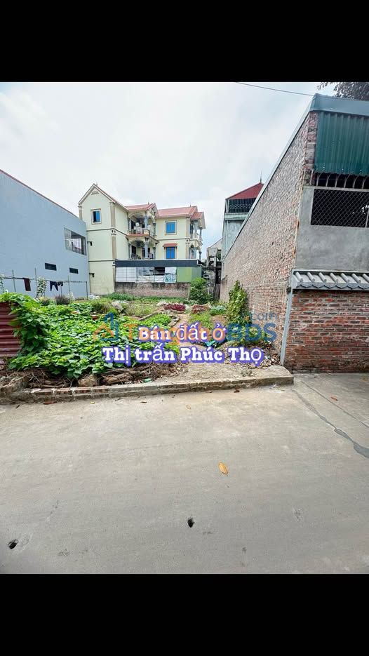 Đất nền Phúc Thọ 75m² giá 3 tỷ - Sổ đỏ chính chủ
