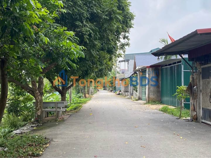 Đất nền Định Trung Vĩnh Yên 100m² 2.3 tỷ - Sổ đỏ chính chủ