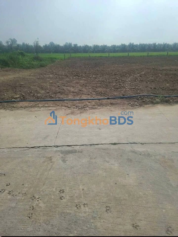 Đất nền Gò Công Long Hưng 207m² 350 triệu - Đường to ô tô