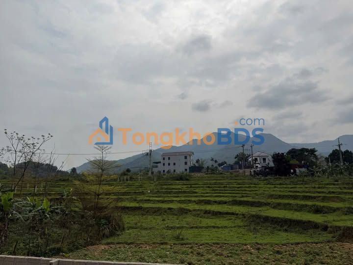 Đất nền Yên Bình Thạch Thất 450m² - Sổ đỏ chính chủ