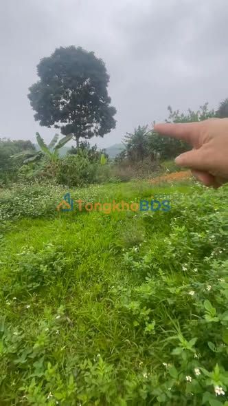 Đất nền Xóm Má Bắc Phong 200m² giá 400 triệu - Đất thổ cư 100%