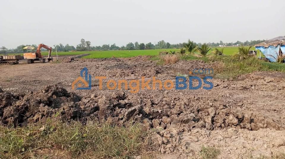 Đất Nền Cả Sao Lai Vung 1280m² - Giá 1.x Tỷ, Tiềm Năng Sinh Lời Cao