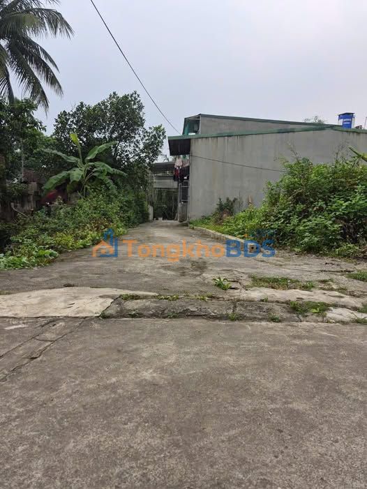 Đất Thanh Châu Phủ Lý 63m² 8xx triệu - Đường ô tô tận đất