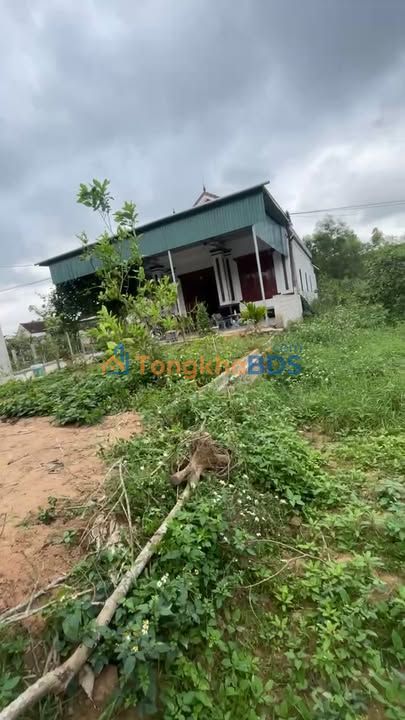 Đất nền Quỳnh Tam Xóm 1 Quỳnh Châu 195m² 500-599tr - Sổ đỏ chính chủ