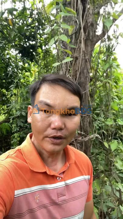 Đất nền Lộ Vòng Cung An Bình 1500m² 7.5 tỷ - Sổ đỏ chính chủ