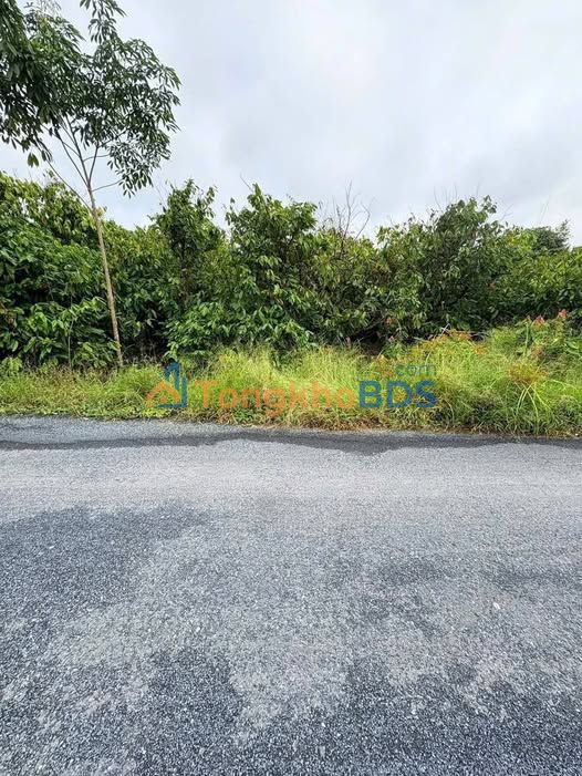 Đất nền Mỹ Đức Tây Cái Bè 589m² 950 triệu - Sổ đỏ chính chủ