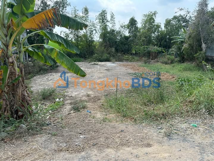 Đất nền 943m² Tân Công Sính, Đồng Tháp - Giá 9.66 Tỷ, Sổ Hồng Sẵn Sàng