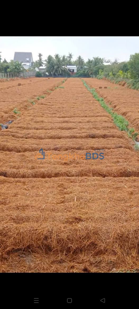 Đất nền Hòa Thành 5.543m² 1 tỷ - Sổ đỏ chính chủ