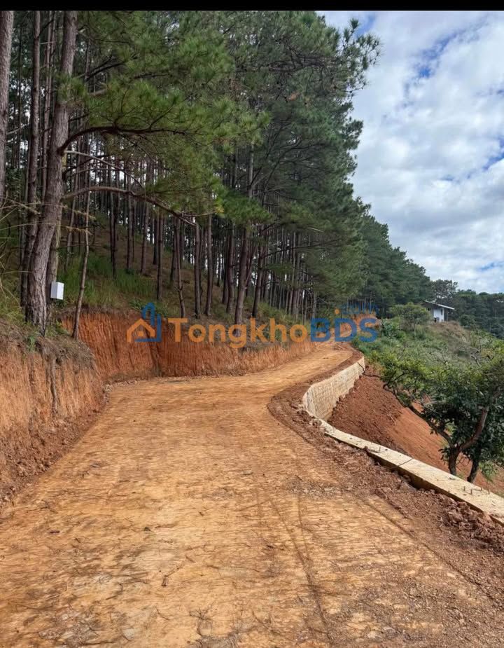 Đất nền Mê Linh Đà Lạt 1000m² 650 triệu - Đường to ô tô