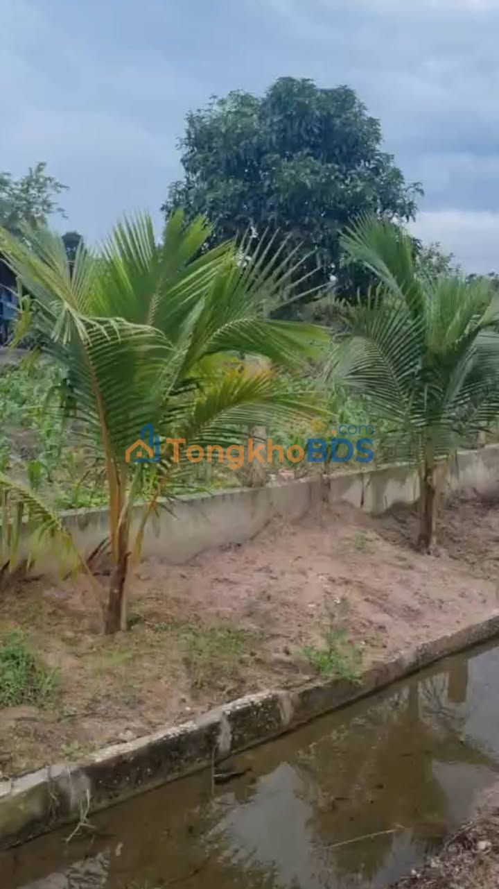 Đất nền Hòa Hội Xuyên Mộc 1.200m² 2,002 tỷ - Tiềm năng tăng giá