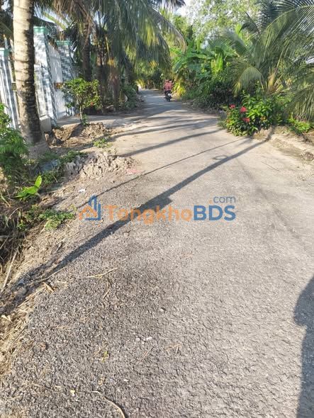 Đất Vườn Đồng Tháp 4050m² - Lộc Sông, Giá 630 Triệu