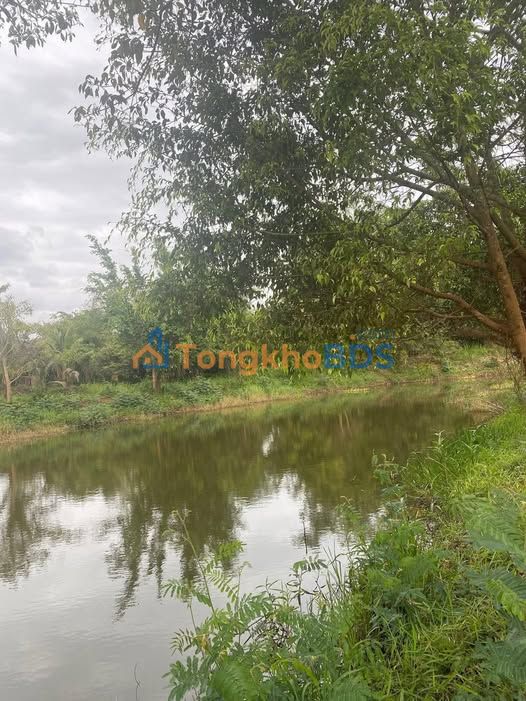 Đất nền Quảng Tiến 1080m² 950 triệu - Sổ đỏ chính chủ