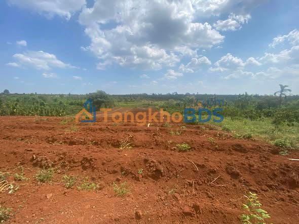 Đất nền Ea Kiết 1.296m² giá 1,07 tỷ - Giá tốt hiếm có