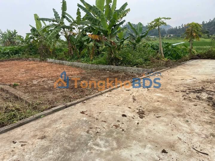 Đất nền Áng Sơn An Lão 600-699 triệu - Sổ đỏ chính chủ