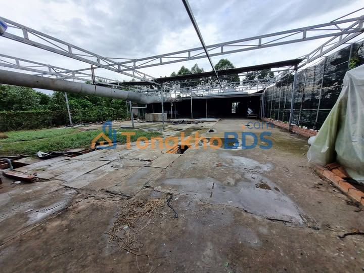 Đất Vườn 3300m² Mặt Tiền Tỉnh Lộ 848 Sa Đéc - Đầu Tư Sinh Lời