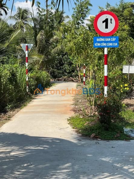 Dat nen Dong Thuan 54m2 gia 2xx trieu - So do chinh chu