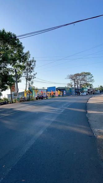 Đất Mặt Tiền QL14 - Kinh Doanh Đắc Lợi Gia Nghĩa 240m²