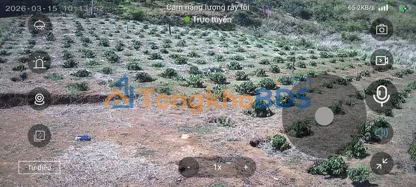 Đất nền Gia Nghĩa 720m² giá thỏa thuận - Sổ đỏ chính chủ