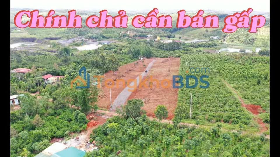 Đất nền Gia Nghĩa 2.000m² giá 6,2 tỷ - Pháp lý rõ ràng