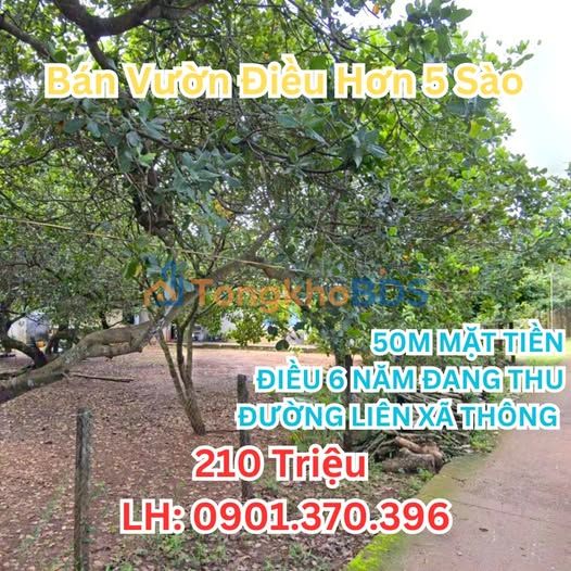 Đất Vườn Bình Phước 5000m² Sổ Hồng Riêng - Giá Đầu Tư 21 Tỷ