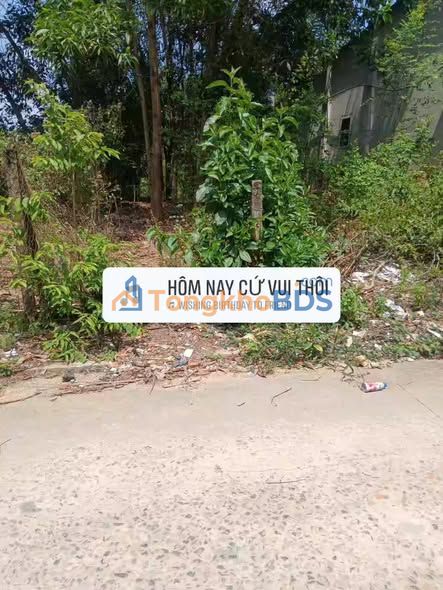 Đất nền Bình Sơn Long Thành 123m² 1,6 tỷ - Sổ đỏ chính chủ