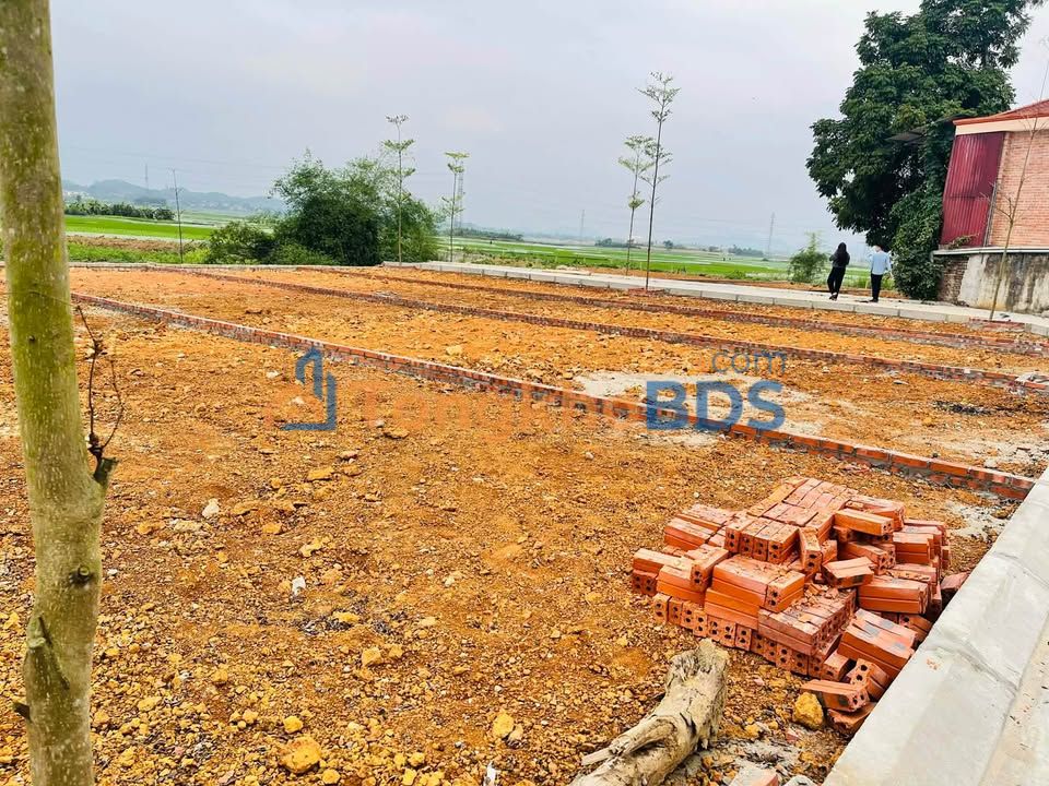 Đất nền Hiên Cách Tuyên Quang 50m² dưới 1 tỷ - Đường to ô tô