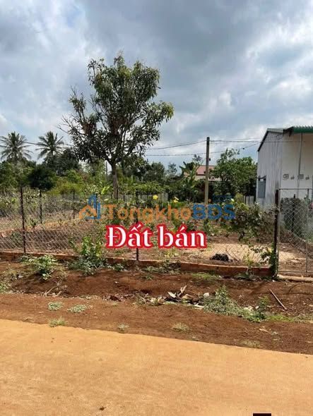 Đất nền Ea Phê 380m² 700-799tr - Hạ tầng hoàn thiện