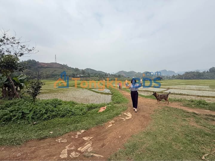 Đất vườn Tân Lạc 1120m2 giá 900 triệu - Đường to ô tô