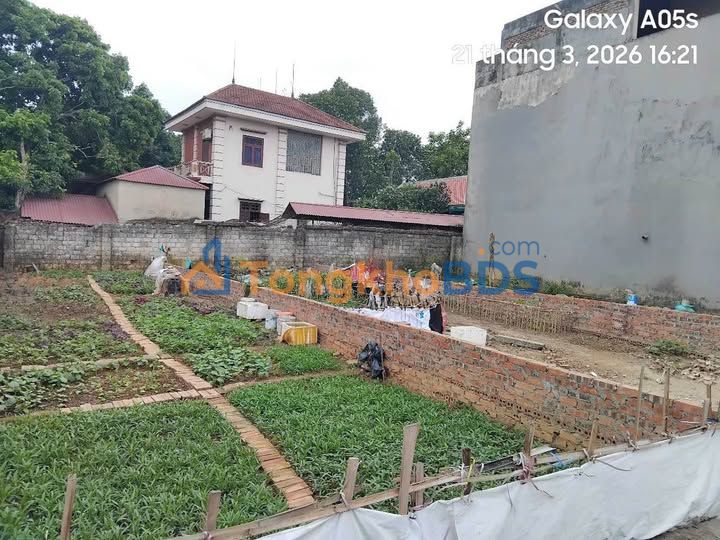 Đất nền Nông Trang Việt Trì 110m² 1.95 tỷ - Sổ đỏ chính chủ