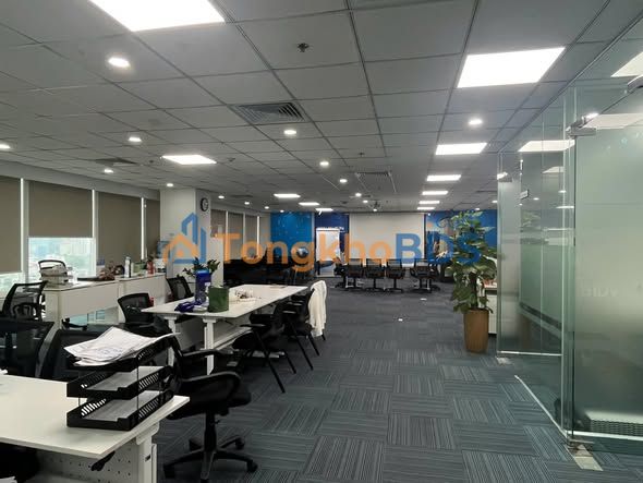 Sàn văn phòng Xuân Thủy Cầu Giấy 1100m² 290.4 triệu - Full dịch vụ sẵn vào