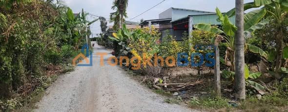 Đất vườn Thạnh Hòa Long An 500m2 495 triệu - Đường to ô tô