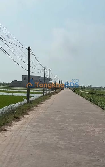 Đất nền Đông Hưng Tiên Lãng 175m² 1 tỷ - Thổ cư 100%