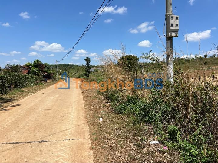 Đất Nền Tuy Đức, Đắk Nông - 1000m² Thổ Cư, Giá Đầu Tư 4 Tỷ