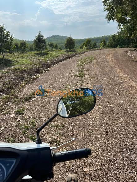 Farm Sầu Riêng Thái 1.85 Ha - Xã Phú Trung, Bình Phước - Giá 3 Tỷ