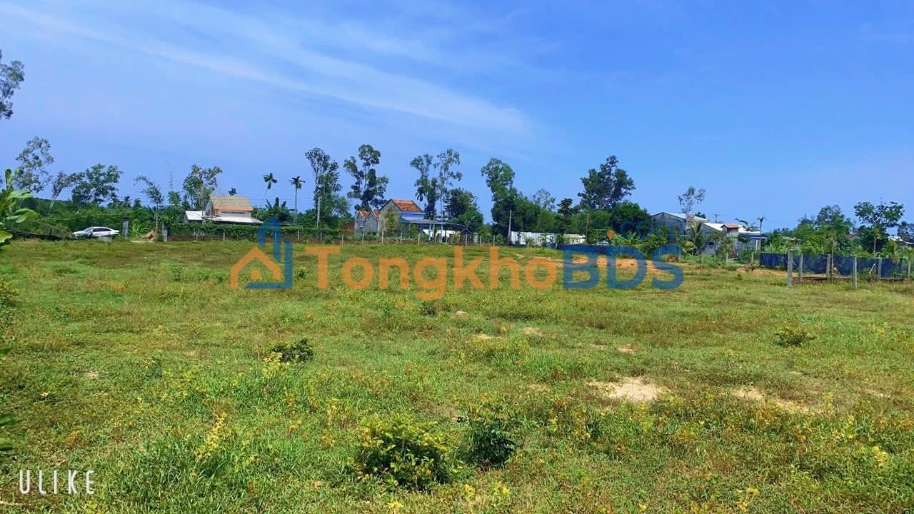 Đất vườn Nghĩa Thuận Quảng Ngãi 5.555m² 3 tỷ - Sinh thái xanh