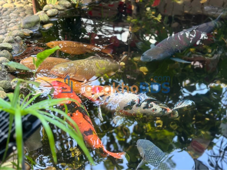 Đất nền Dẫn Thạch Bích 125m² giá 5xx - Giá tốt hiếm có