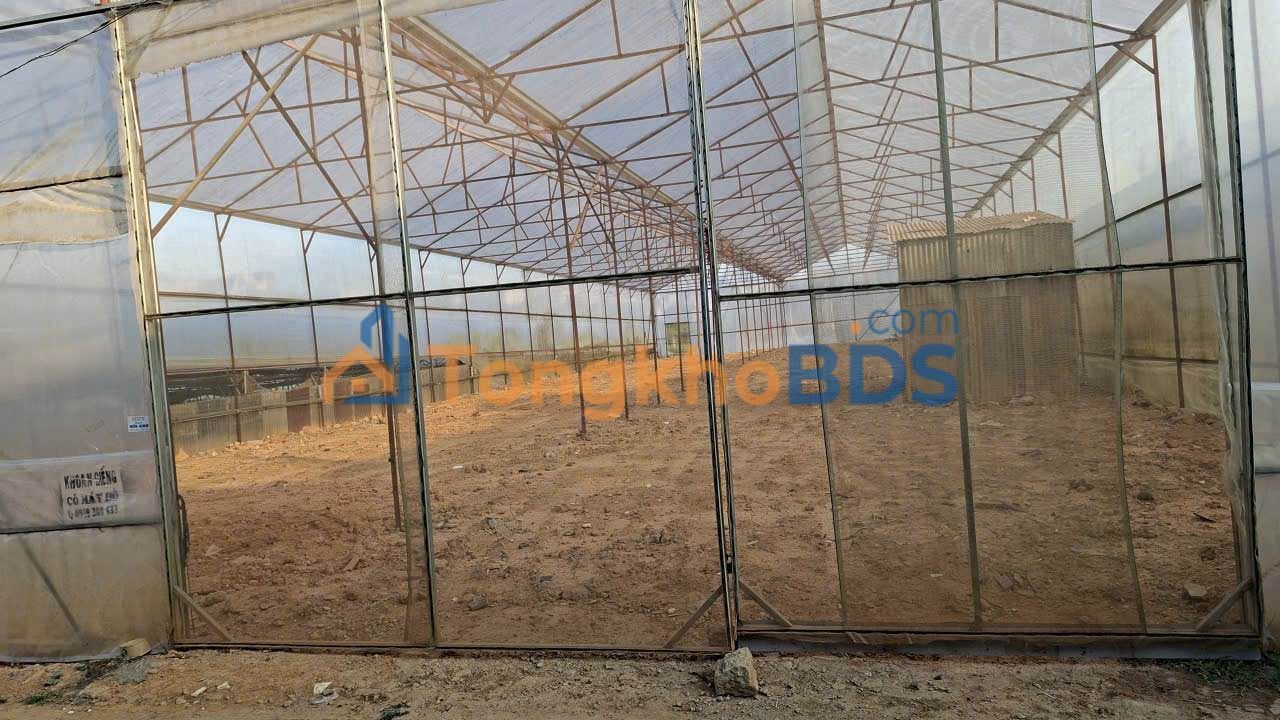 Kho xưởng Đà Lạt CMT8 720m² - Container thoải