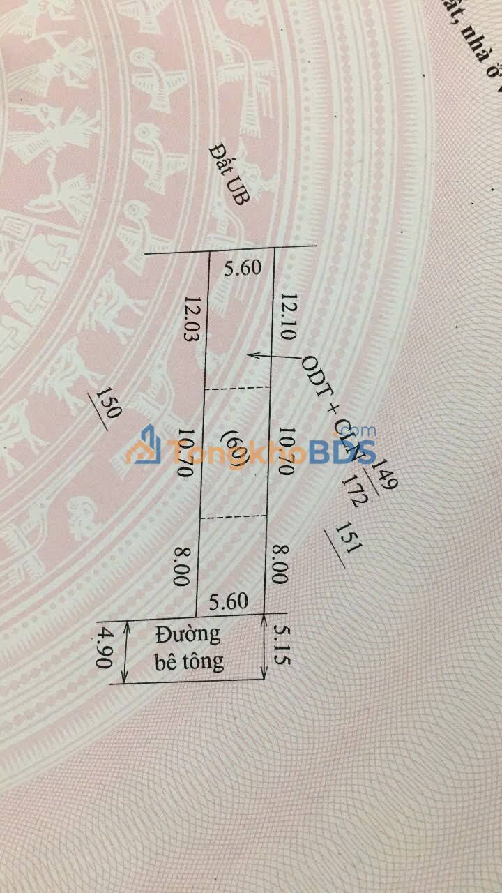 Đất nền Trần Hưng Đạo Bình Giang 168m² 1 tỷ - Giá tốt hiếm có