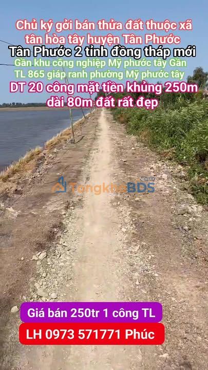 Đất ruộng Tân Hòa Tây 20.000m² thỏa thuận - Đường to ô tô