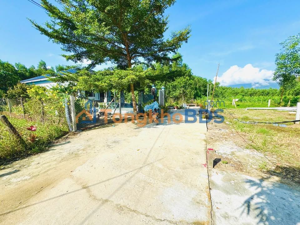 Đất vườn Nam Thành Hòa Phong 240m² 1.4 tỷ - Sổ đỏ chính chủ