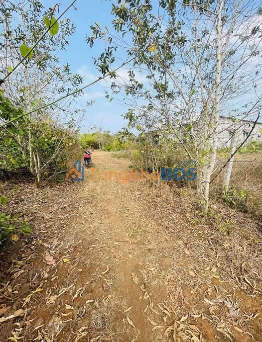 Bán Đất Long Khánh 1025m² Sổ Hồng Chính Chủ - Giá 1.38 Tỷ