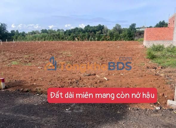 Đất nền Long Tân 255m2 giá 720 triệu - Hạ tầng hoàn thiện