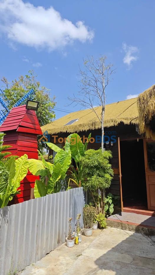 Nhà vườn Trần Quý Cáp Buôn Ma Thuột 3.5 triệu/tháng - Sẵn sàng ở ngay